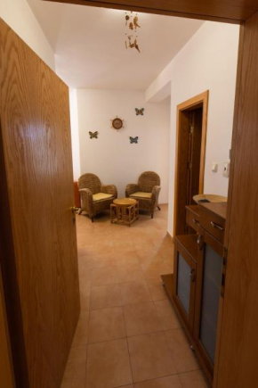 Complex Joy Apartments